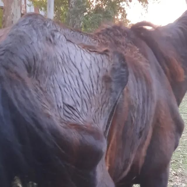 Esther — 20/12/2023