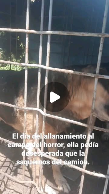 Campo del horror — 13/11/2022